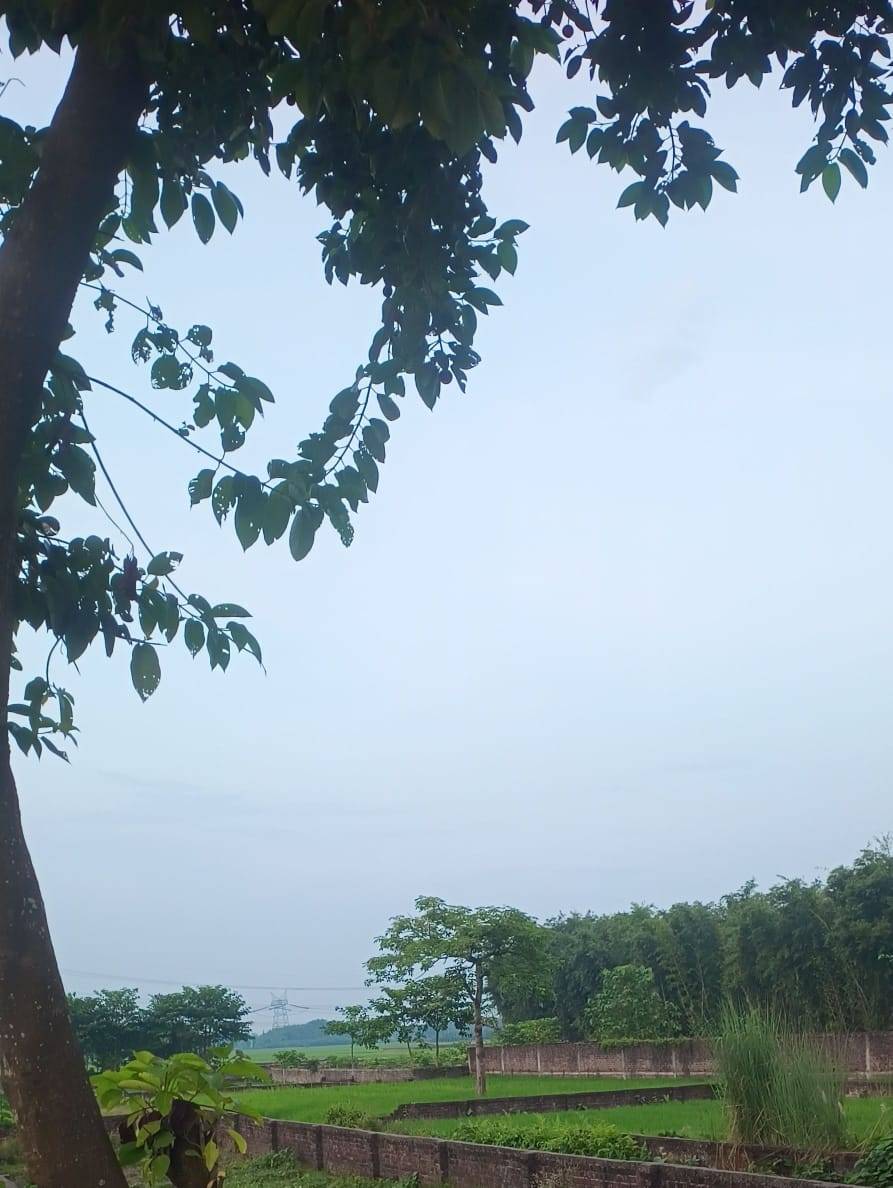 3.00 kattha Residential plot for sale in Pipla Chowk