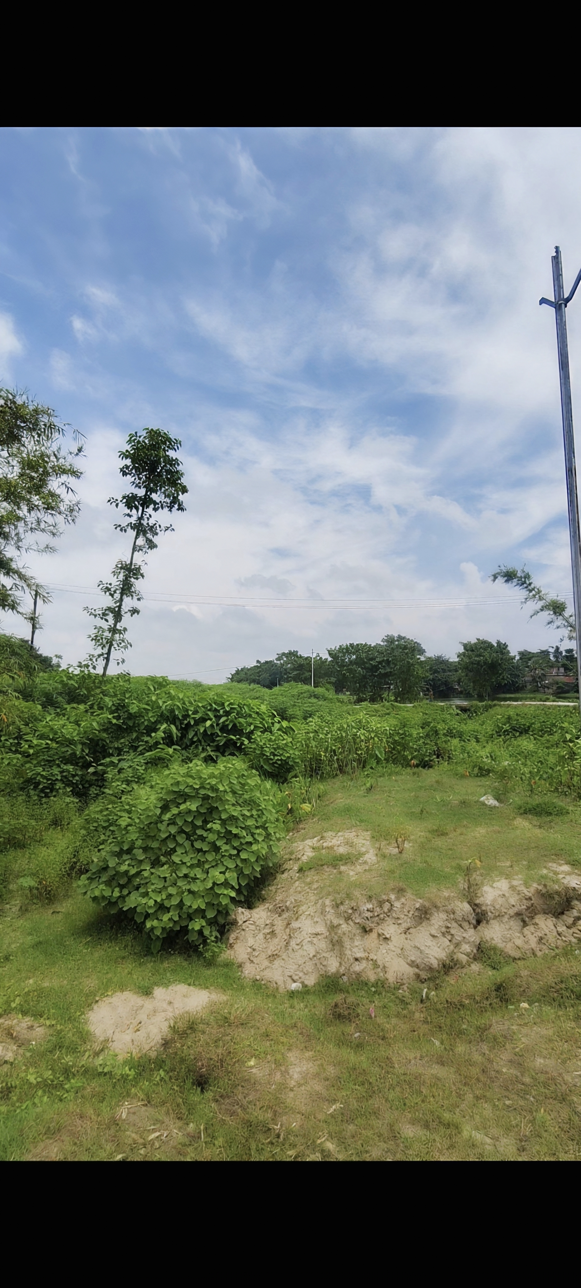 Plot Image