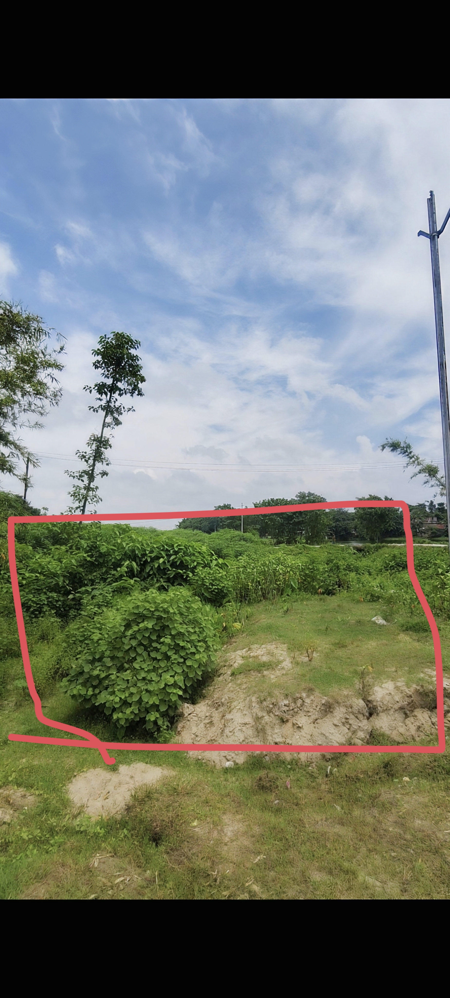 Plot Image