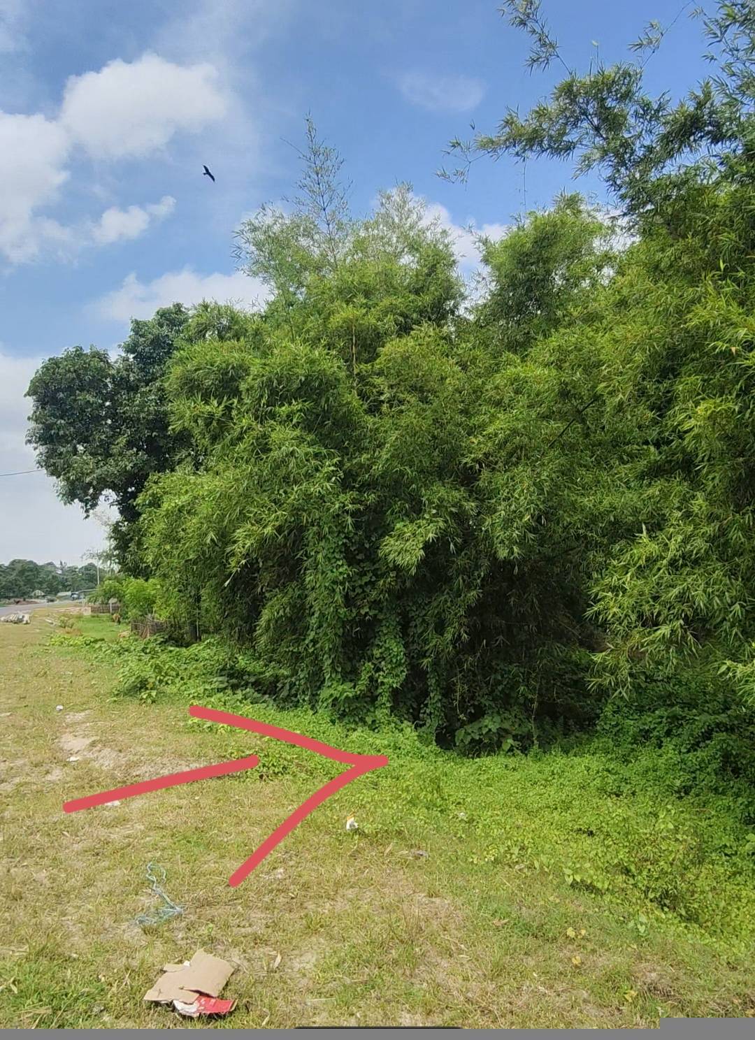9.00 decimal Commercial plot for sale in Salmari new highway