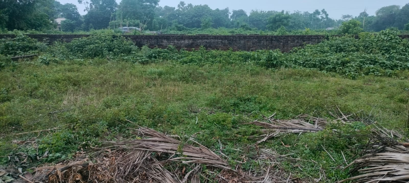 4.00 kattha Residential plot for sale in Halim Chowk