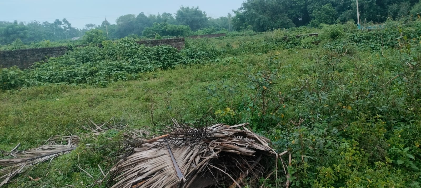 4.00 kattha Residential plot for sale in Halim Chowk, Kishanganj, Bihar - Image 2