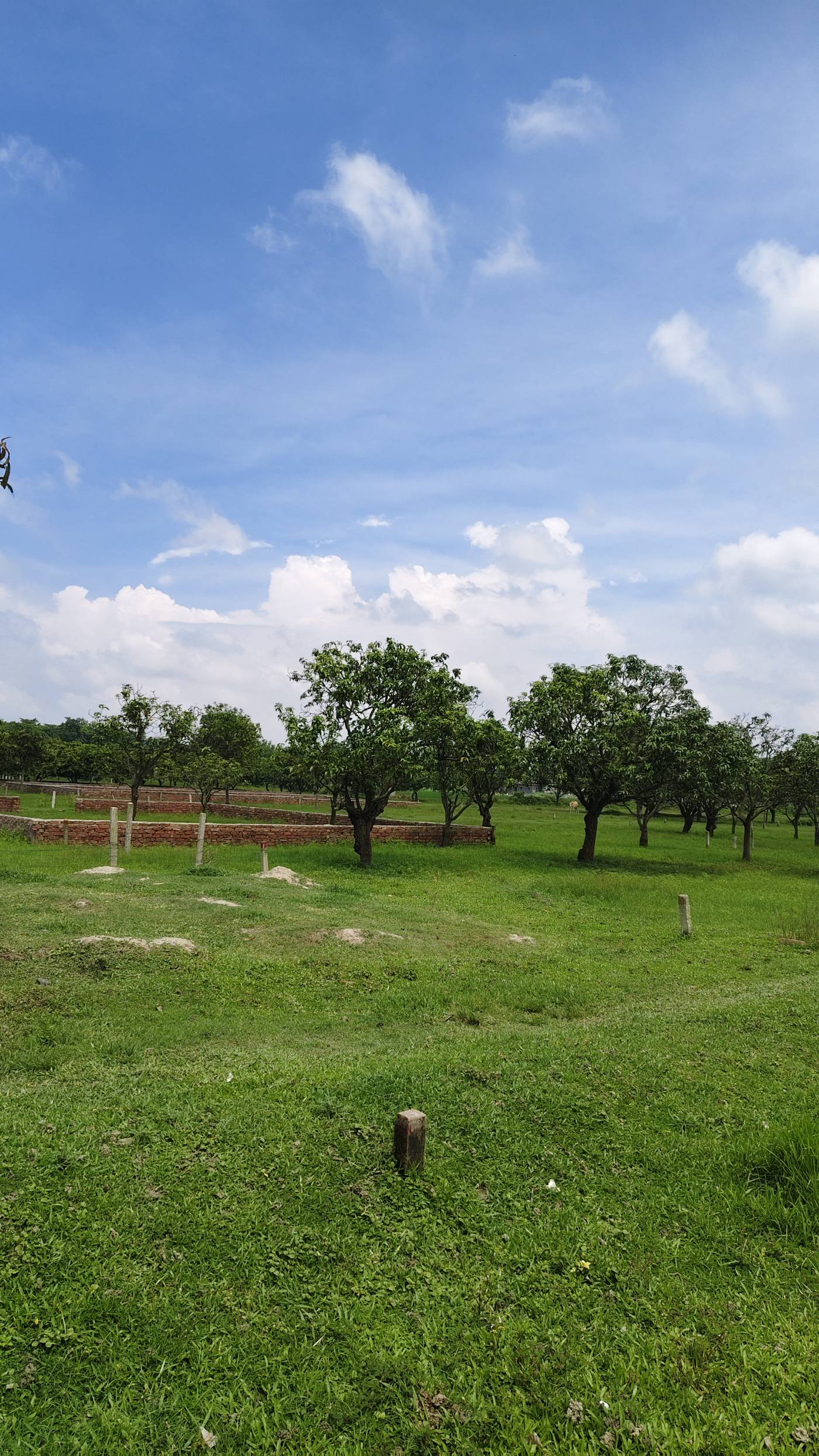 3.00 decimal Residential plot for sale in Salmari new highway, Katihar, Bihar - Image 2
