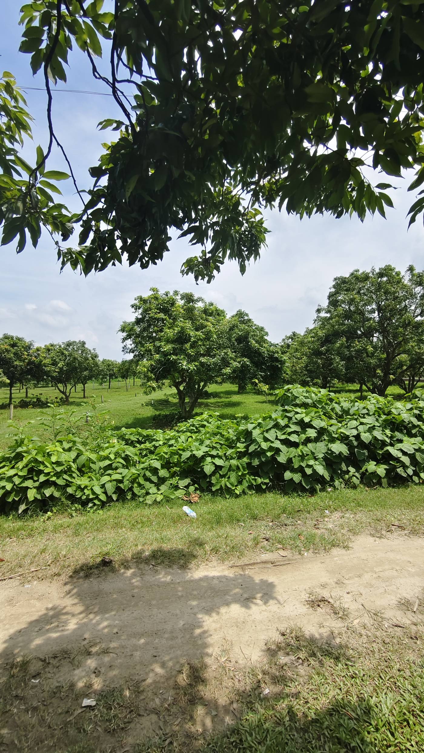 3.00 decimal Residential plot for sale in Salmari new highway, Katihar, Bihar - Image 3