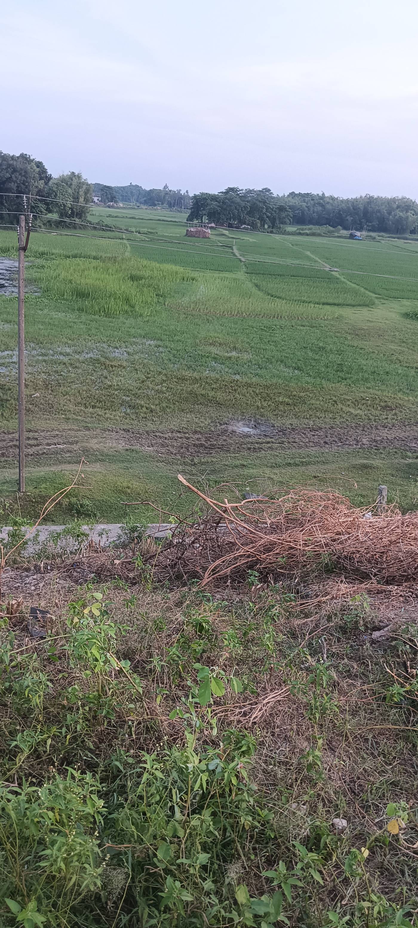 16.00 kattha Commercial plot for sale in khaikhat Chowk NH-327E, Kishanganj, Bihar - Image 2