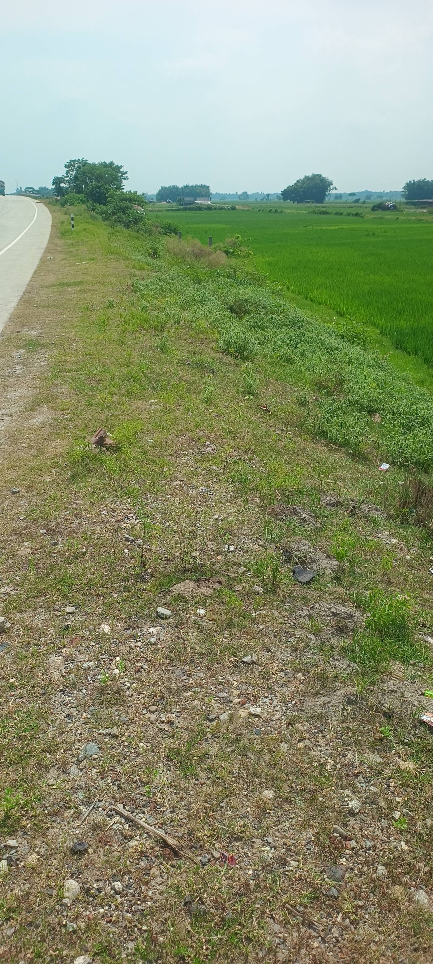 13.00 kattha Commercial plot for sale in Suleman Chowk NH-327, Kishanganj, Bihar - Image 2