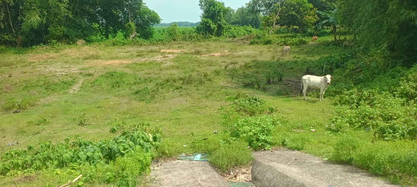 20.00 kattha Commercial plot for sale in Suleman Chowk NH-327