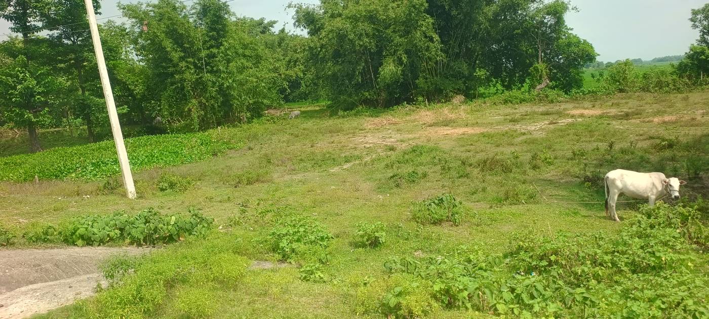 20.00 kattha Commercial plot for sale in Suleman Chowk NH-327, Kishanganj, Bihar - Image 3