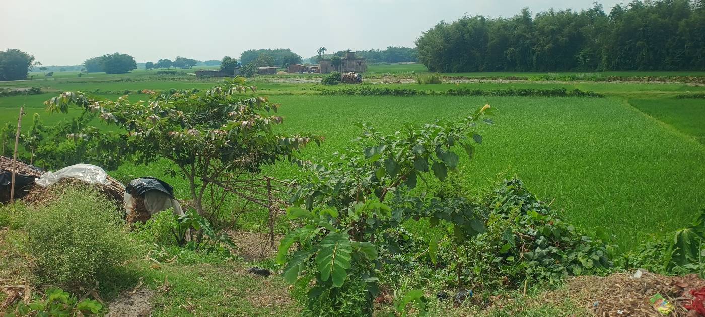 13.00 kattha Commercial plot for sale in Suleman Chowk NH-327