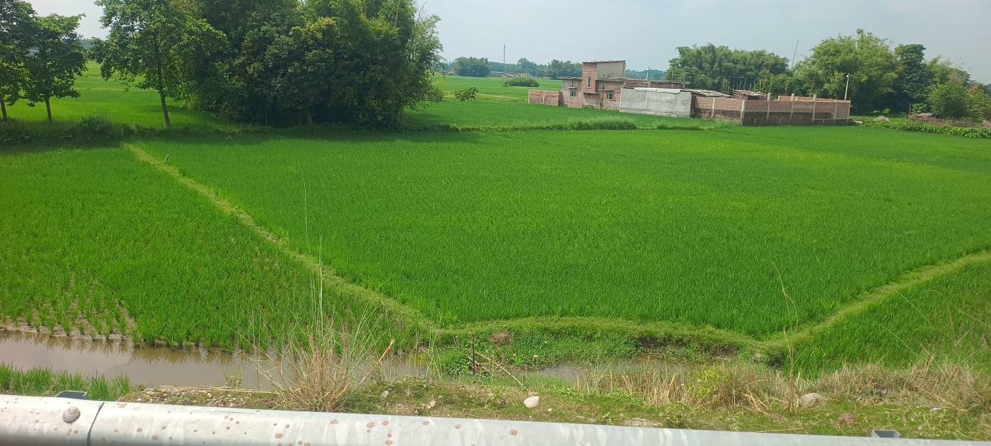 34.00 kattha Commercial plot for sale in Suleman Chowk NH-327