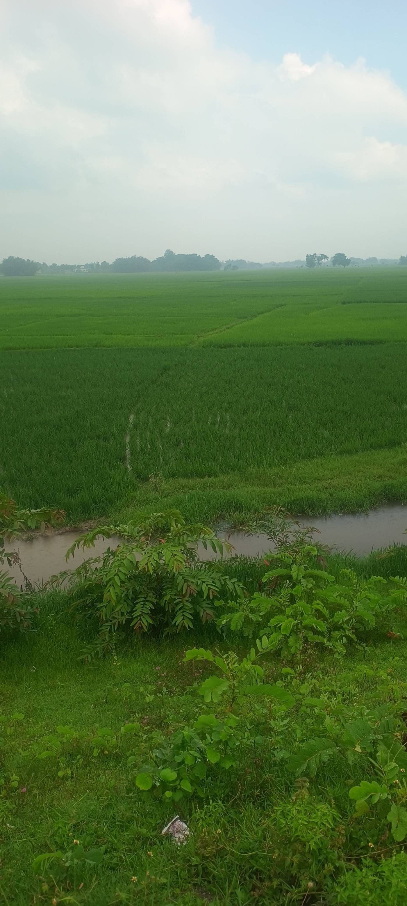 10.00 kattha Commercial plot for sale in Kumhiya Chowk NH-327, Kishanganj, Bihar - Image 3