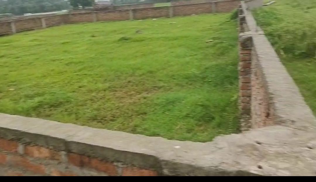 Plot Image