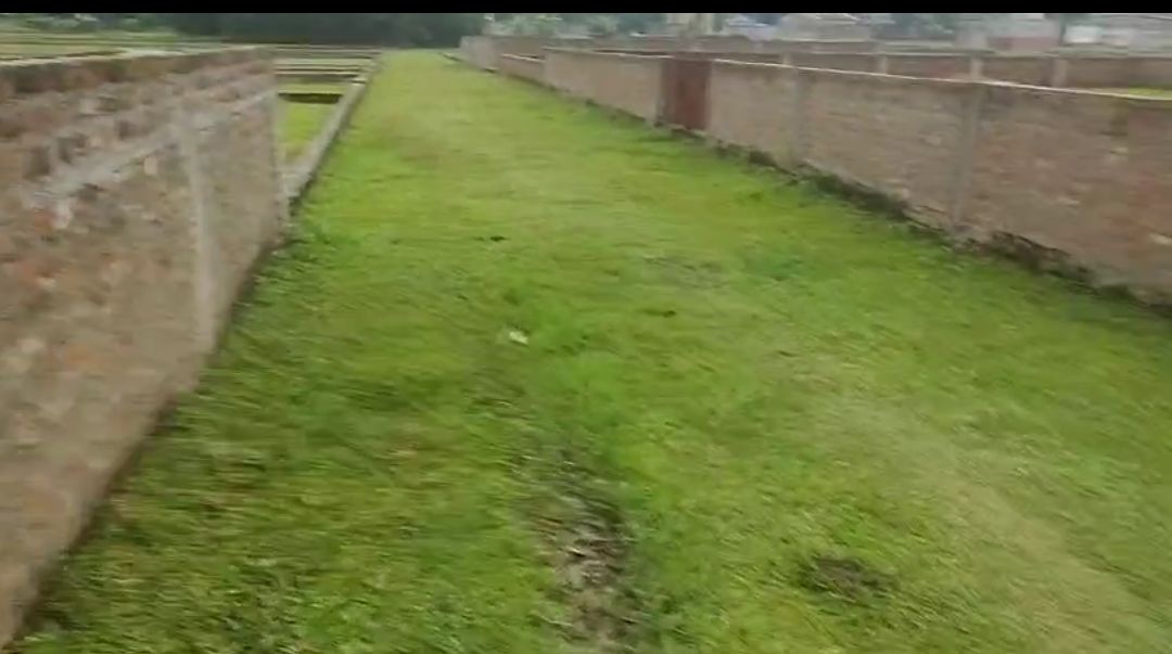 Plot Image