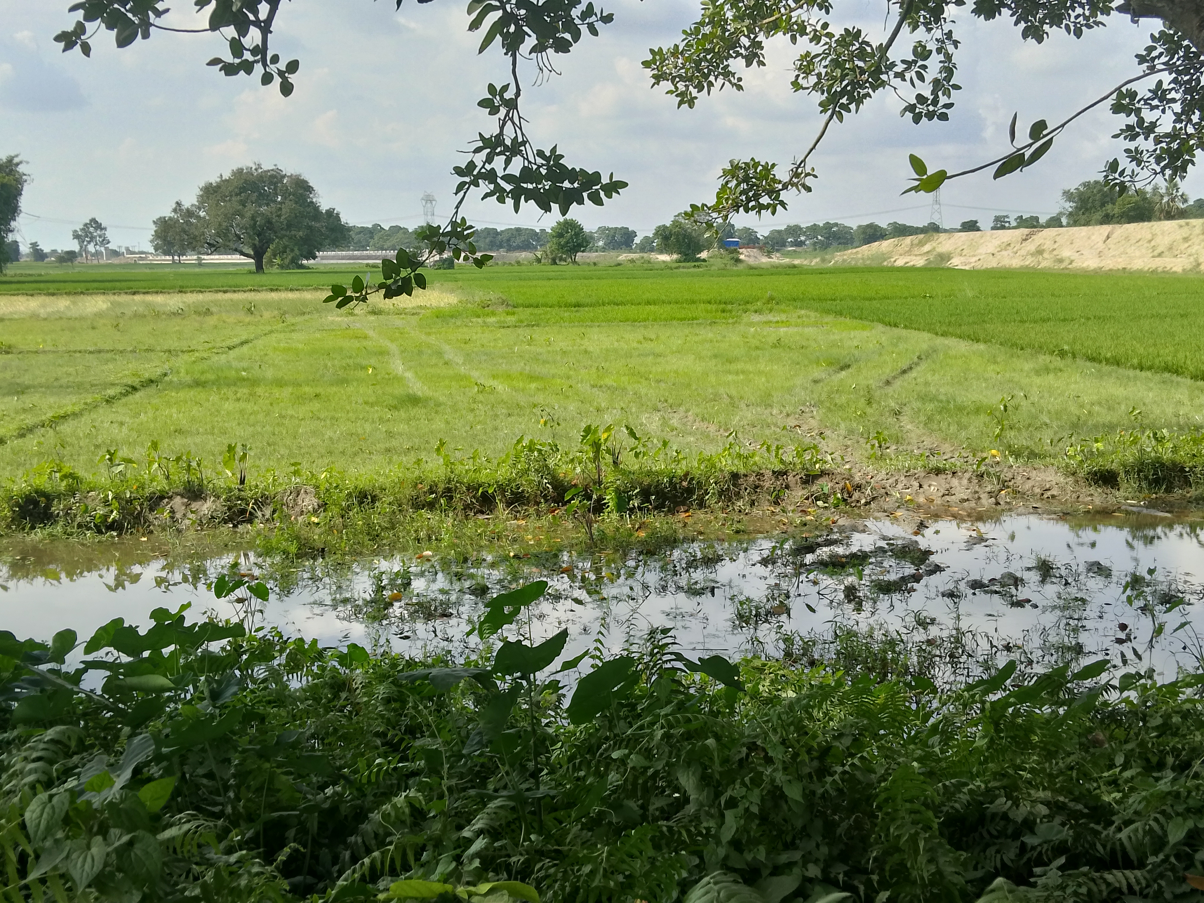 Plot Image