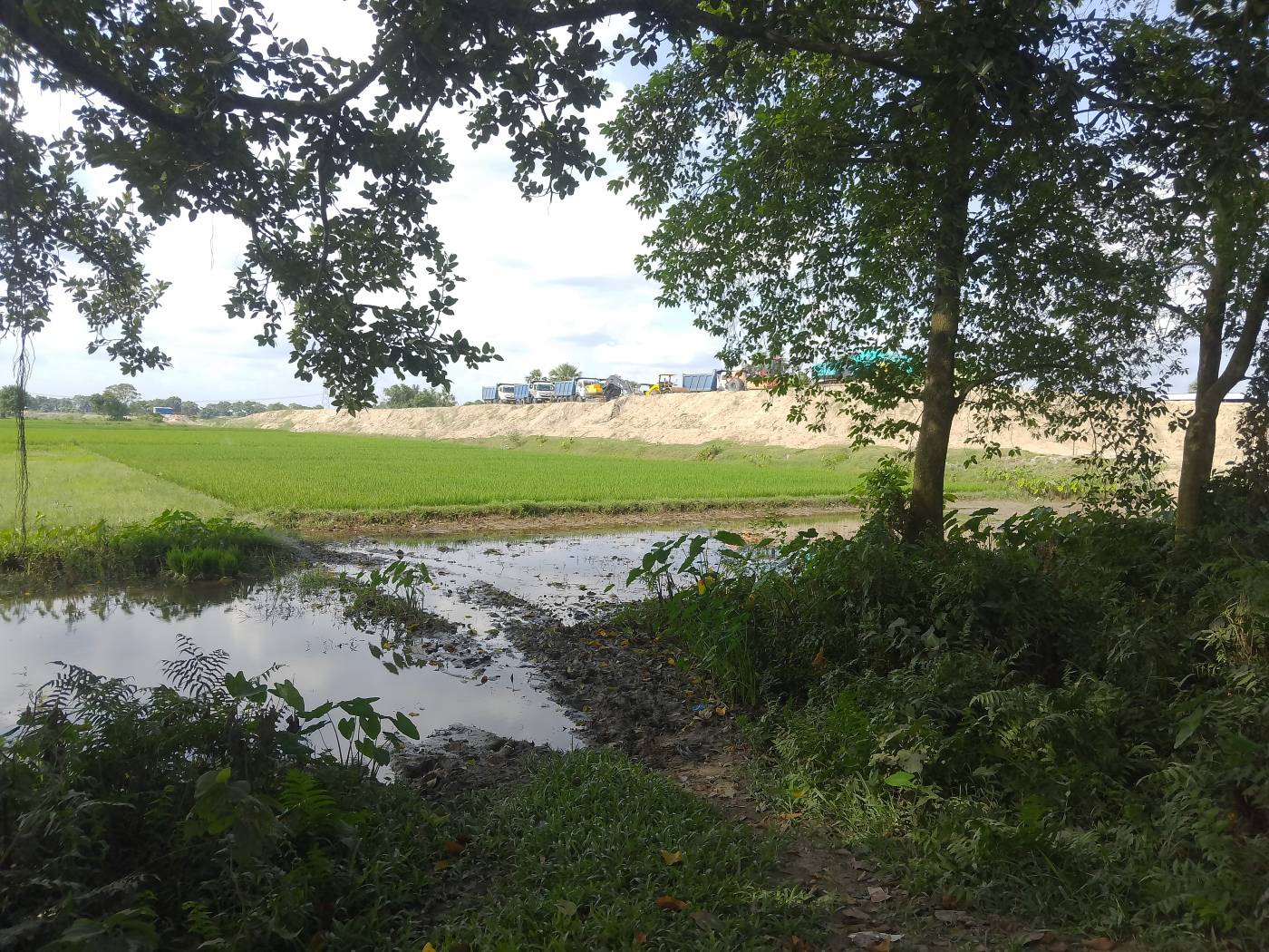 10.00 kattha Commercial plot for sale in Block Chowk, Kishanganj, Bihar - Image 2