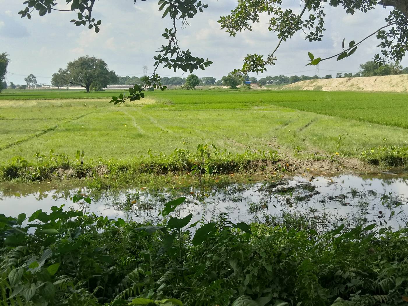 10.00 kattha Commercial plot for sale in Block Chowk, Kishanganj, Bihar - Image 3