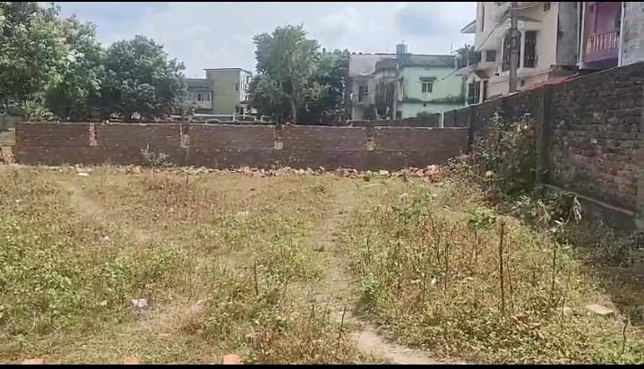 Plot Image