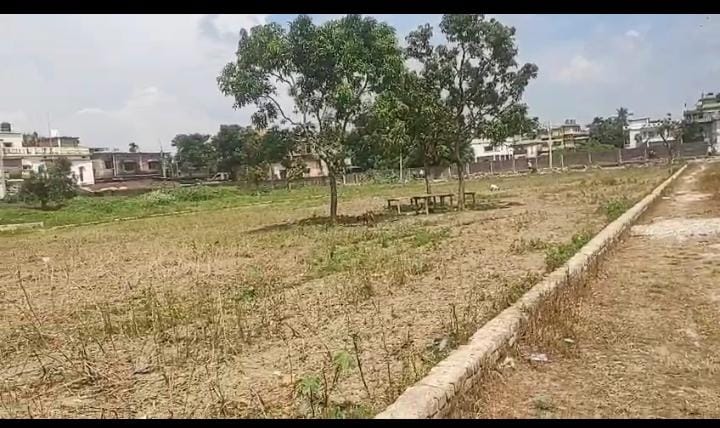 Plot Image
