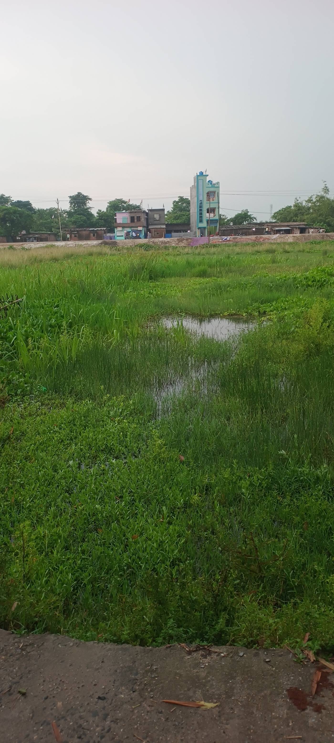 5.00 kattha Residential plot for sale in Chaursai