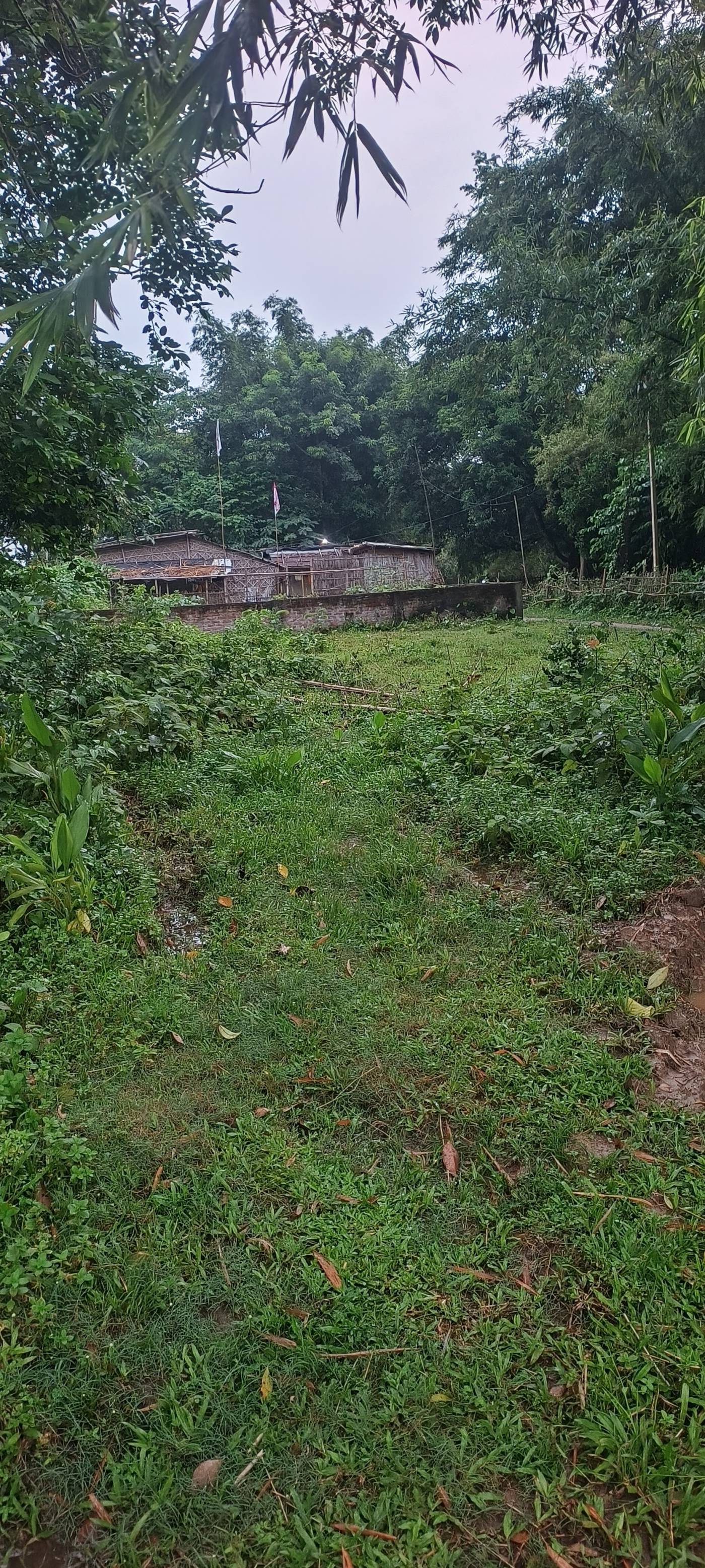 5.00 kattha Residential plot for sale in Chaursai, Kishanganj, Bihar - Image 2