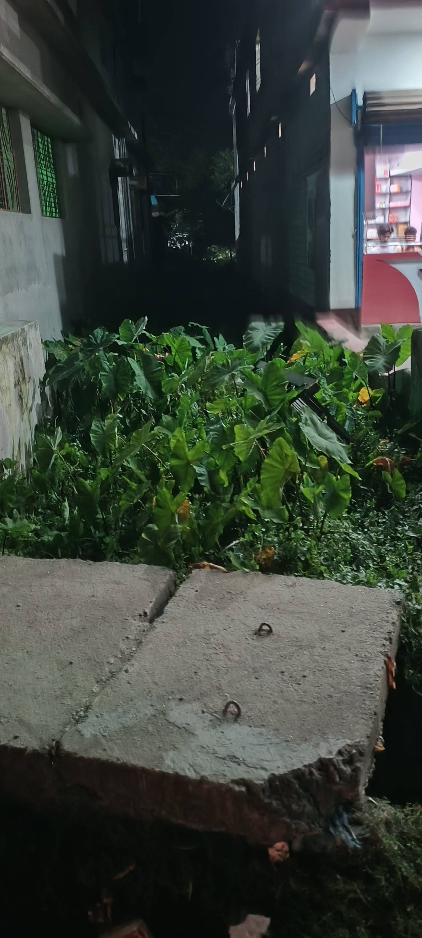 5.25 decimal Commercial plot for sale in Powakhali, Kishanganj, Bihar - Image 3