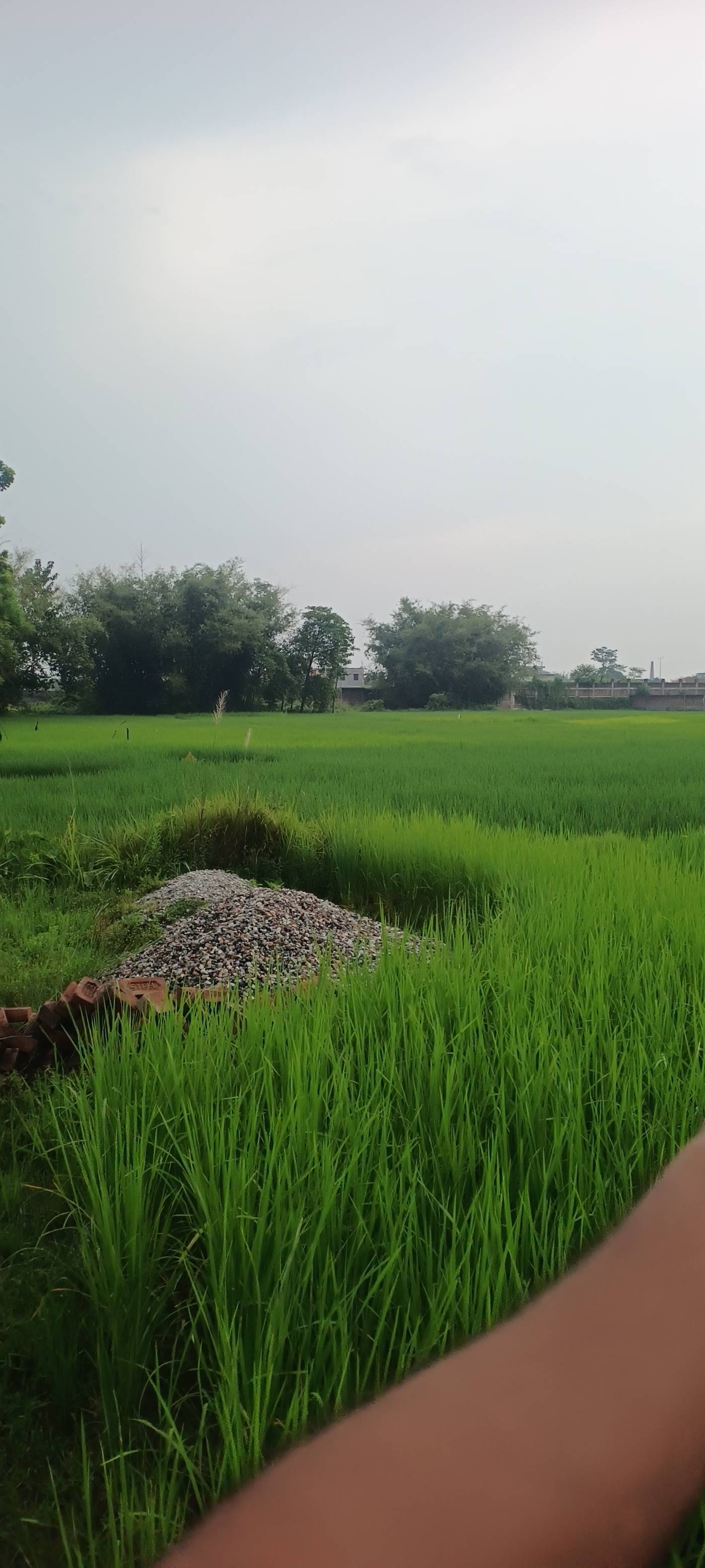5.00 kattha Residential plot for sale in Block