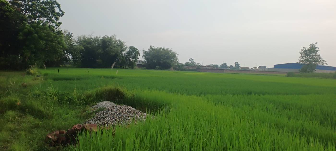 5.00 kattha Residential plot for sale in Block, Kishanganj, Bihar - Image 2
