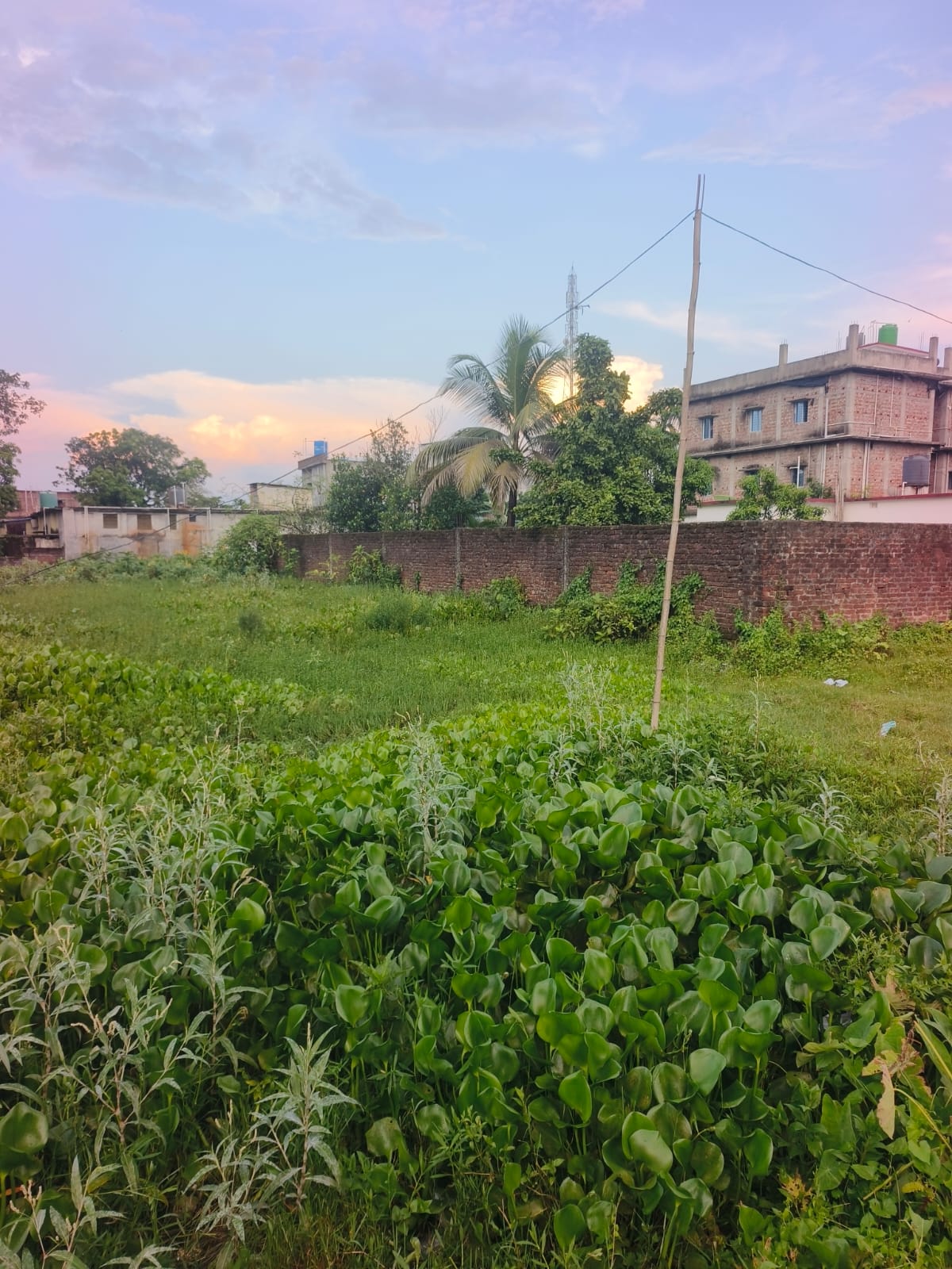 1.50 kattha Residential plot for sale in Subhas Nagar, Kishanganj, Bihar - Image 2