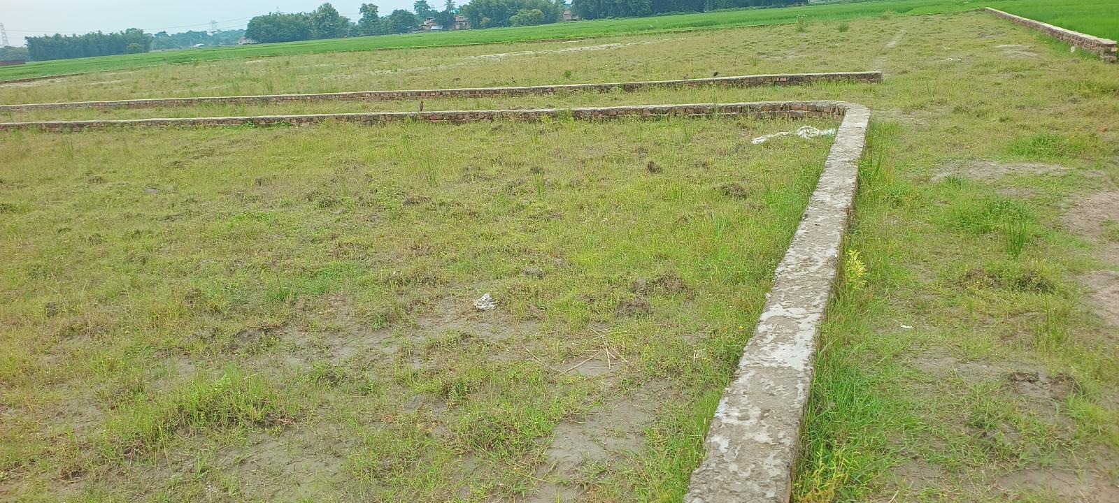 1.00 bigha