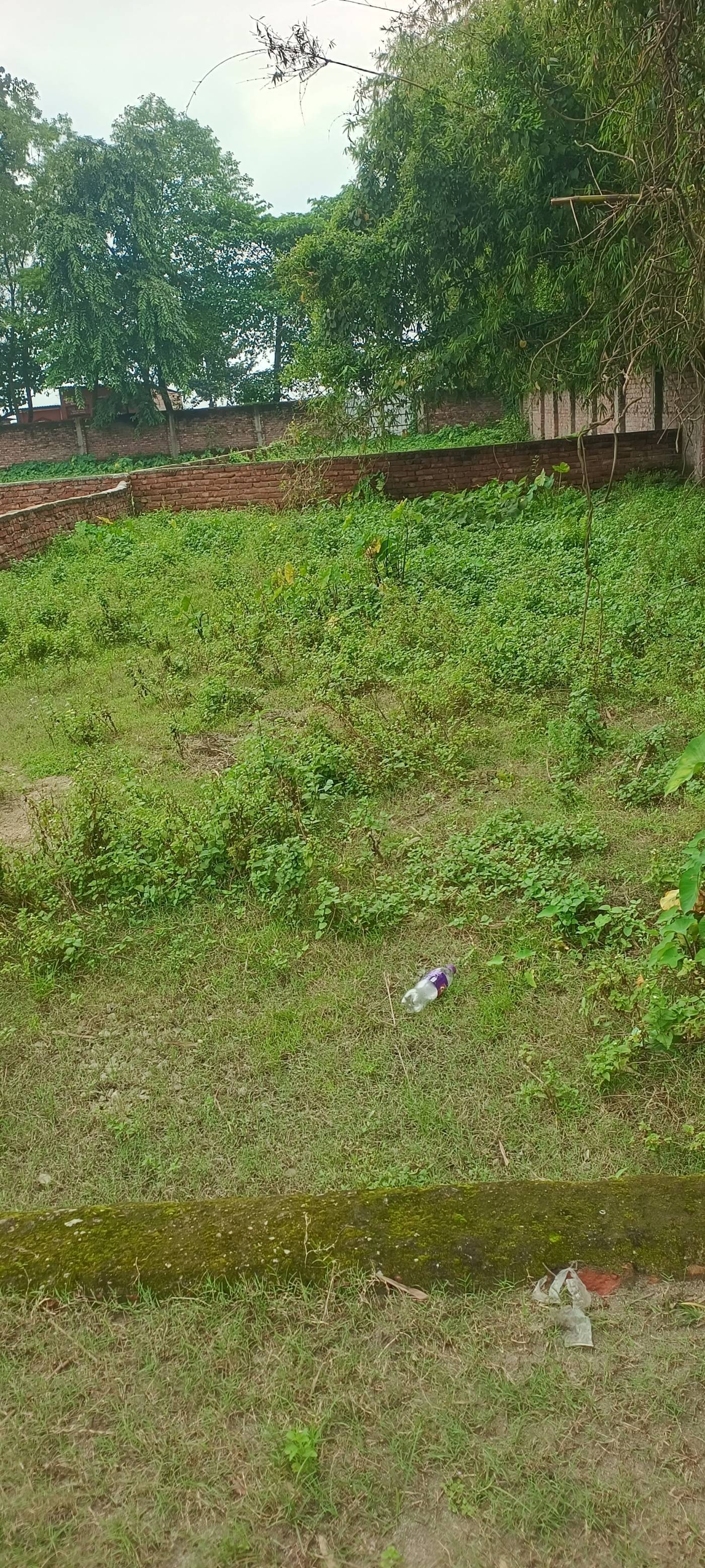 4.00 kattha Residential plot for sale in Singhia Chowk, Kishanganj, Bihar - Image 3