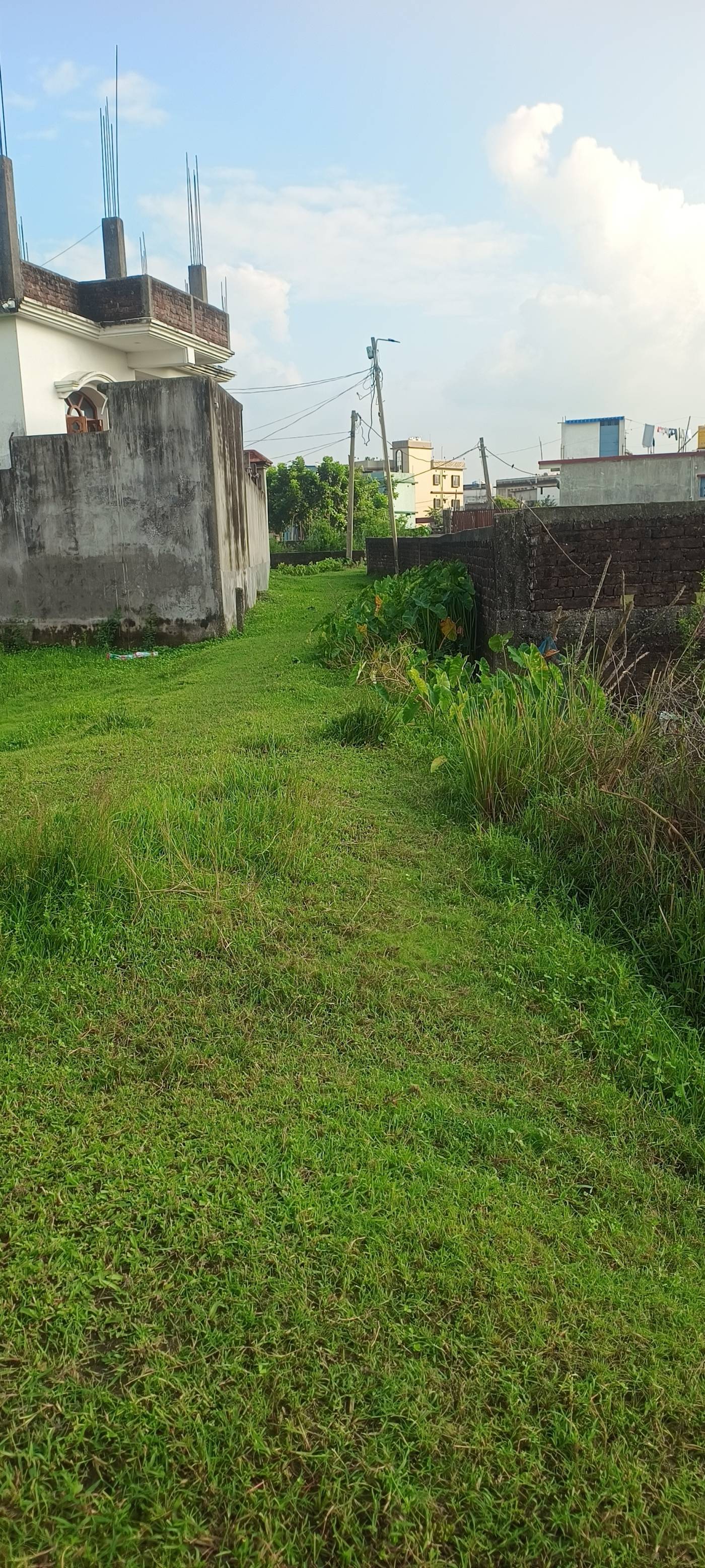 4.50 kattha Residential plot for sale in Rahmani Colony