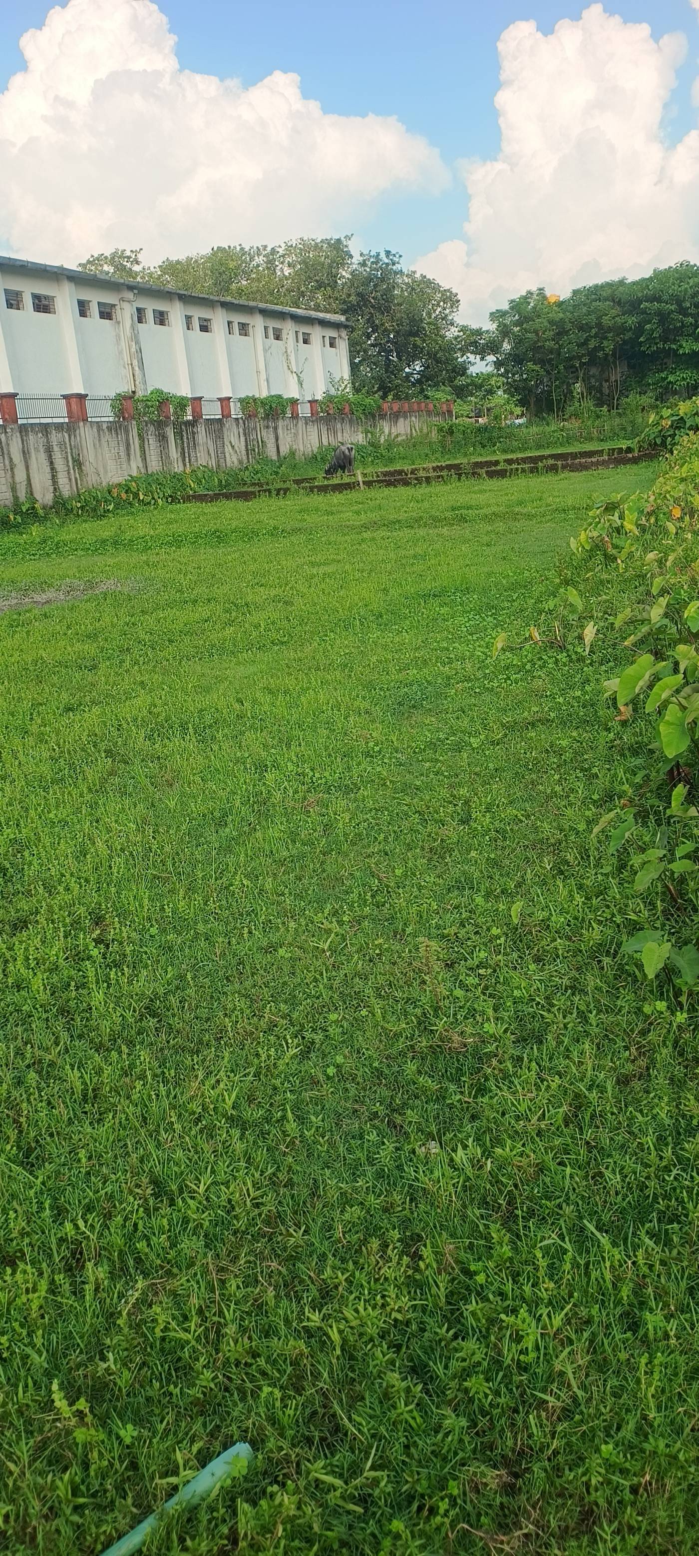 4.50 kattha Residential plot for sale in Rahmani Colony, Kishanganj, Bihar - Image 2