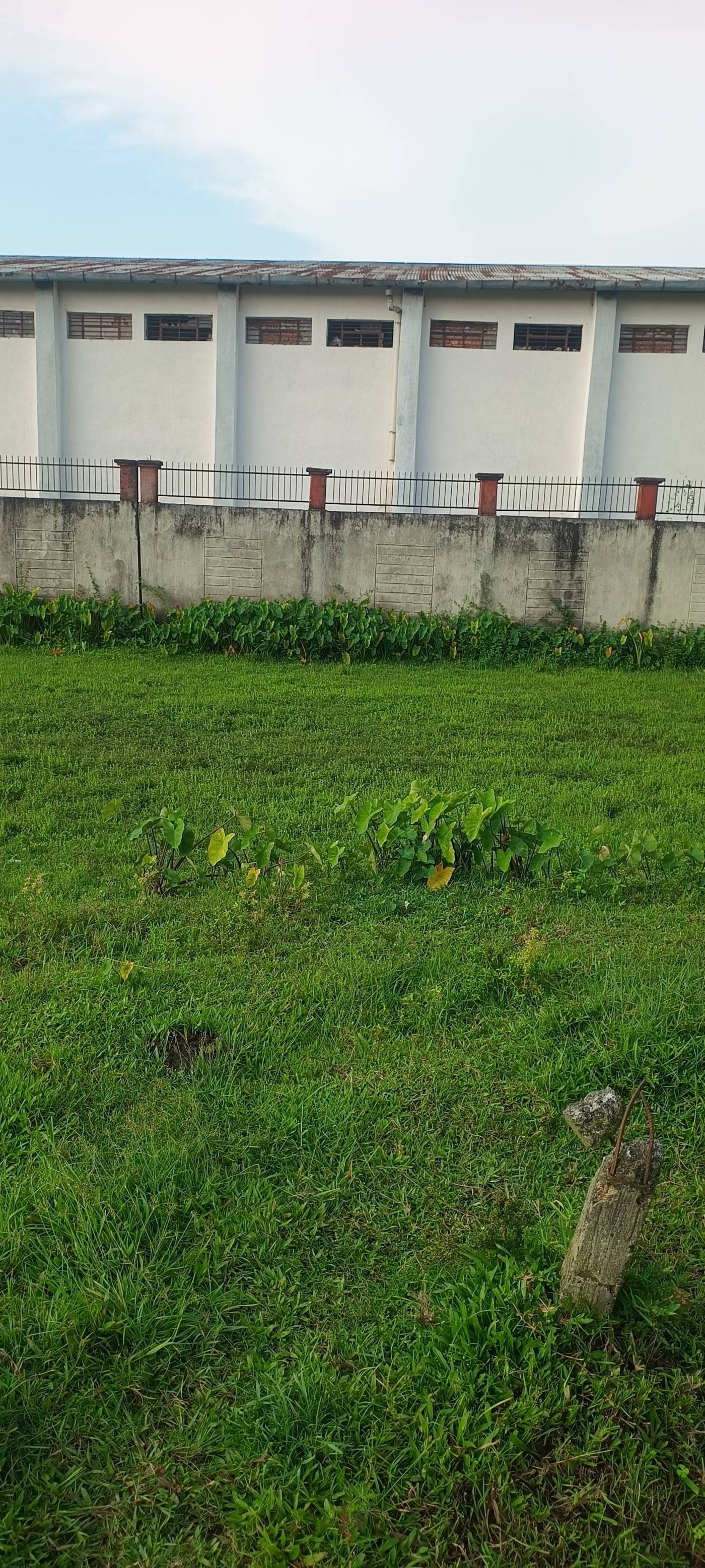 4.50 kattha Residential plot for sale in Rahmani Colony, Kishanganj, Bihar - Image 3