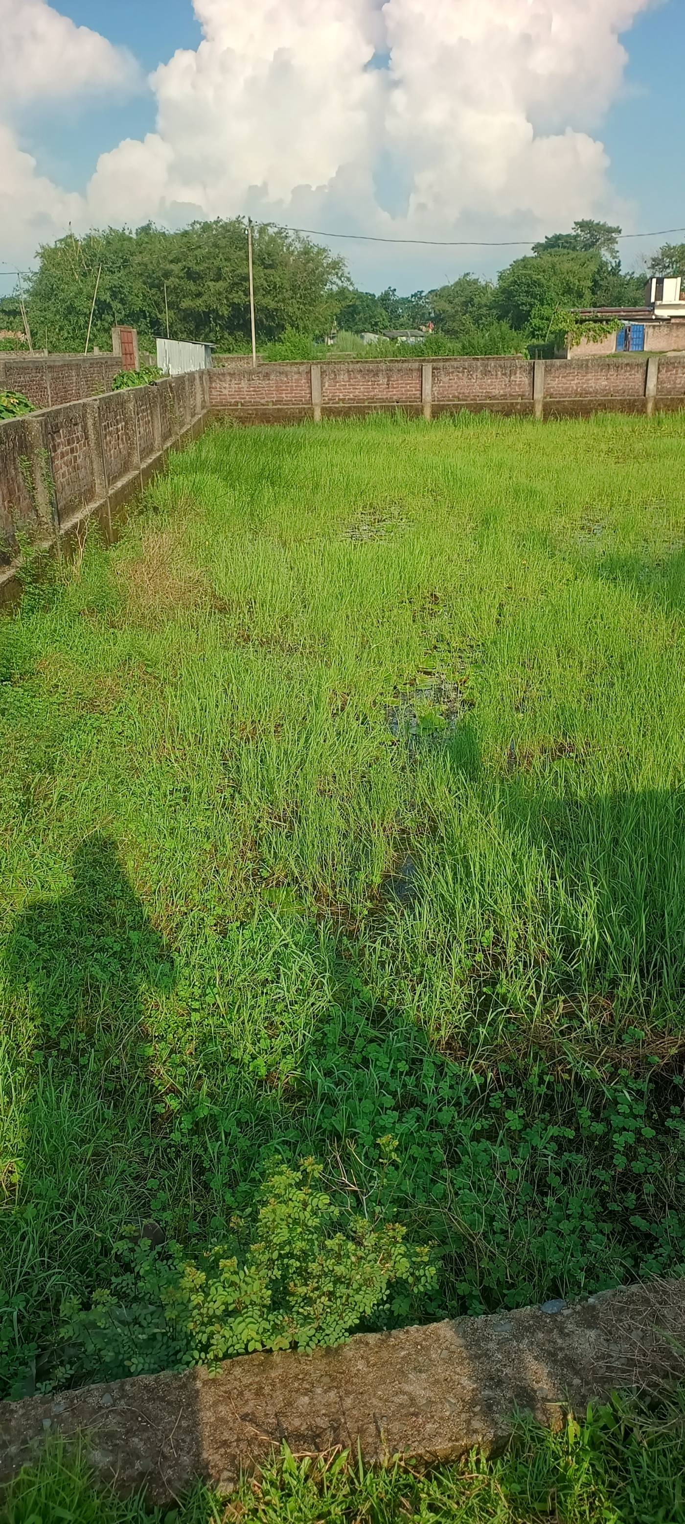 2.50 kattha Residential plot for sale in Rahmani Colony