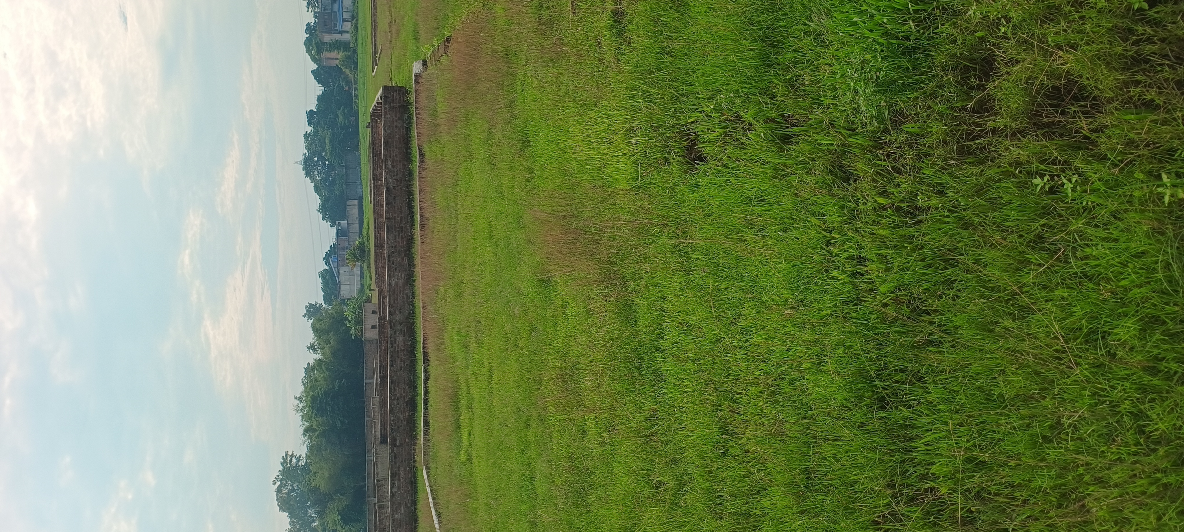Plot Image