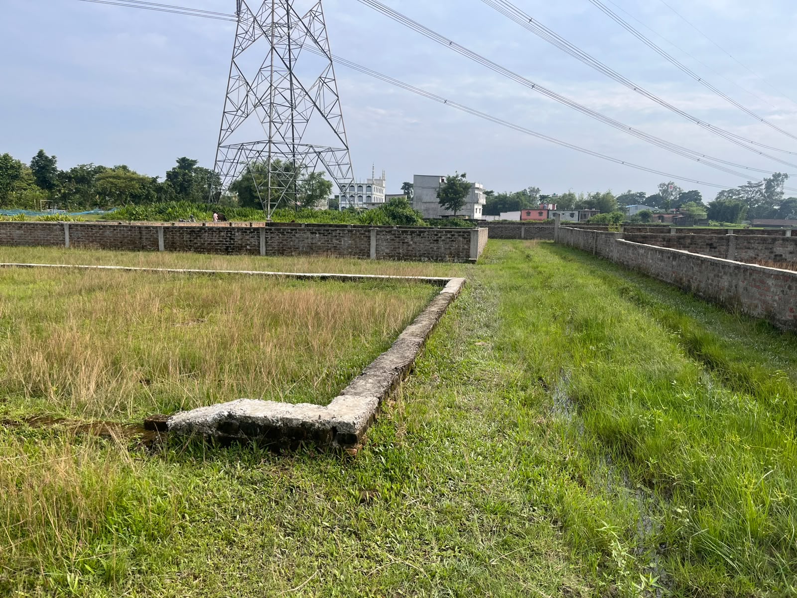 Plot Image
