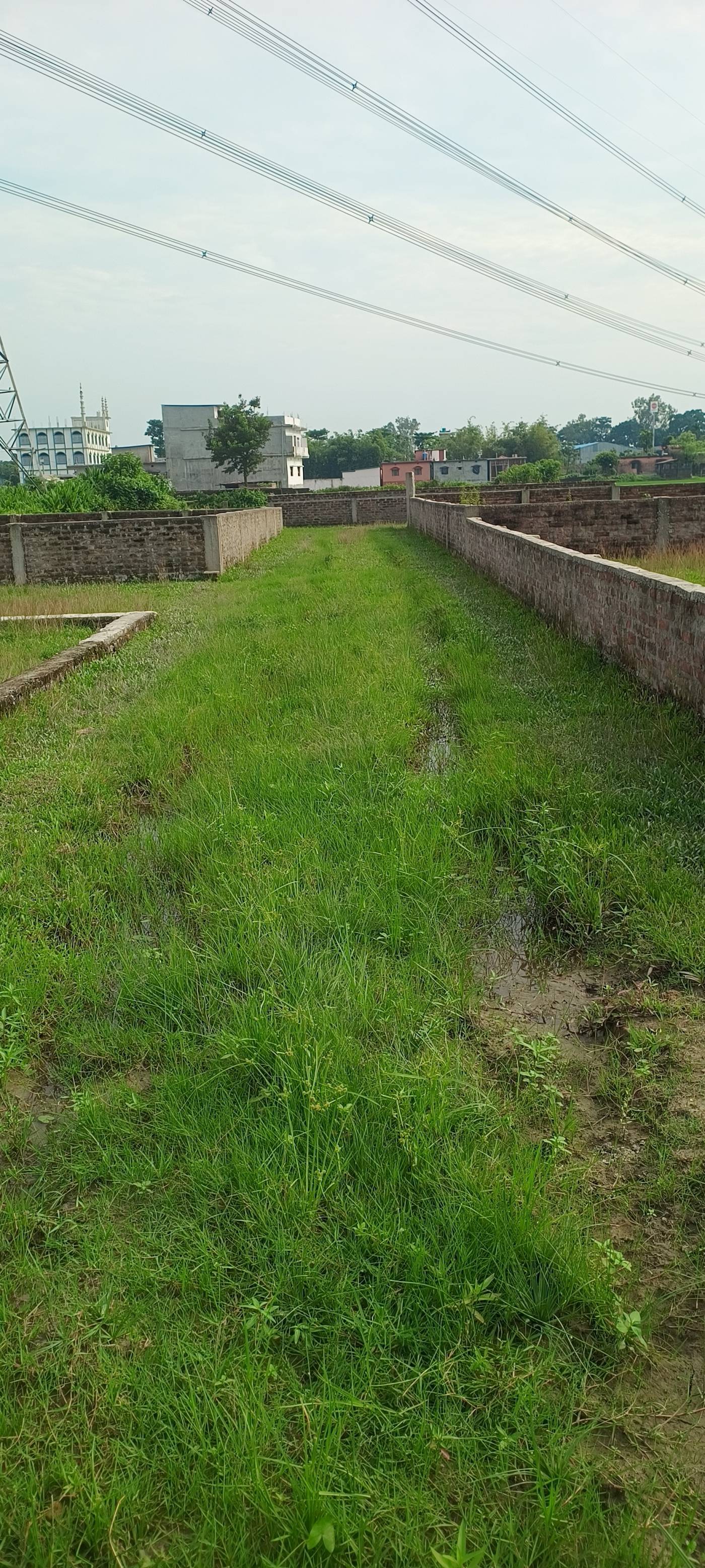 2.00 kattha Residential plot for sale in Lahra Chowk, Kishanganj, Bihar - Image 4