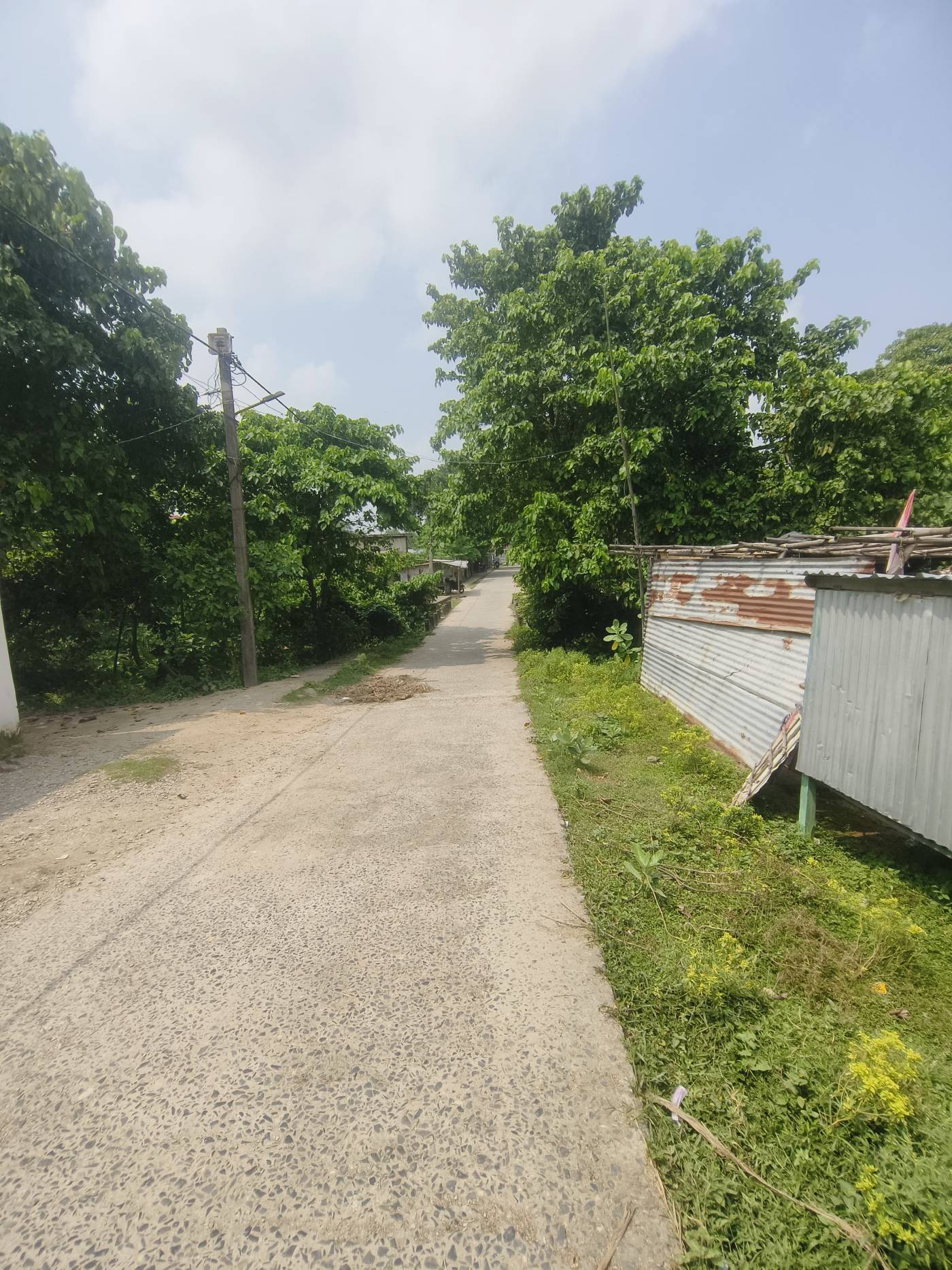 10.00 kattha Residential plot for sale in Beni Basti