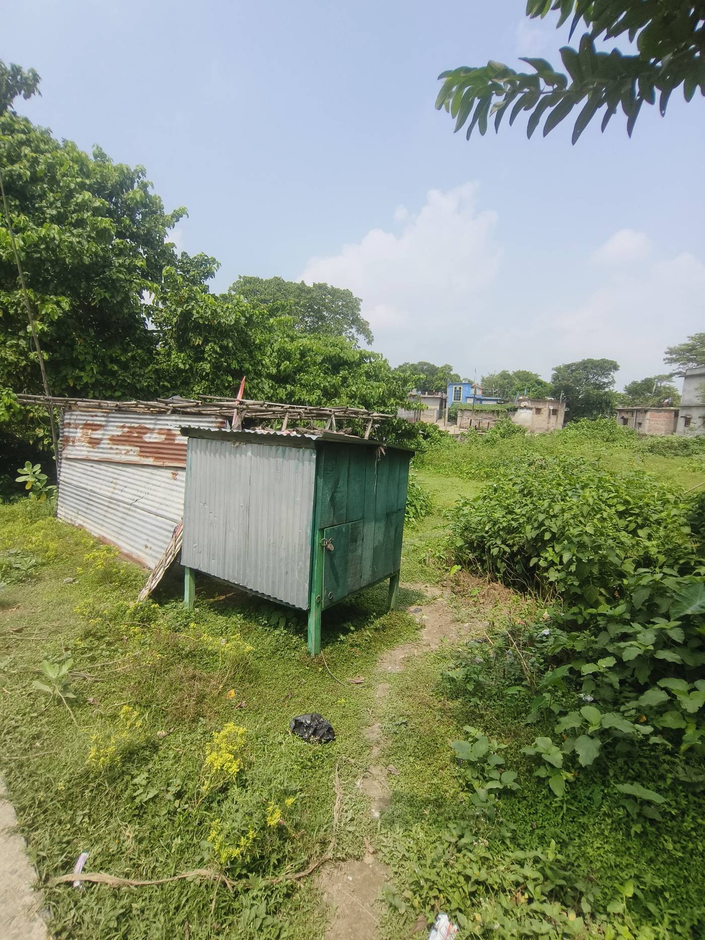 10.00 kattha Residential plot for sale in Beni Basti, Kishanganj, Bihar - Image 2