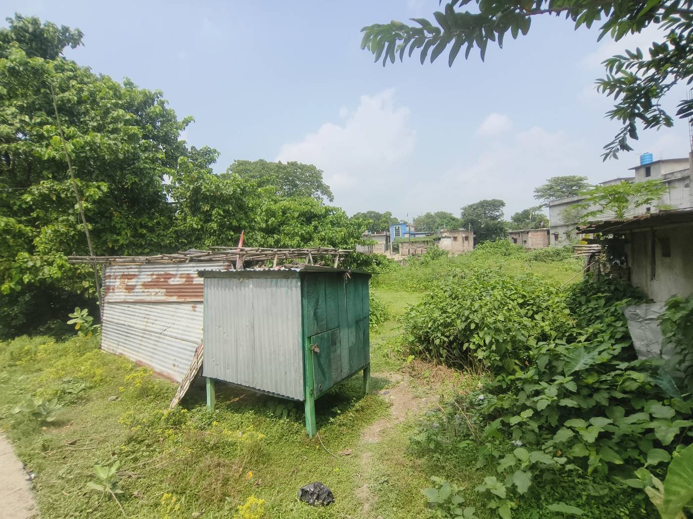 10.00 kattha Residential plot for sale in Beni Basti, Kishanganj, Bihar - Image 3