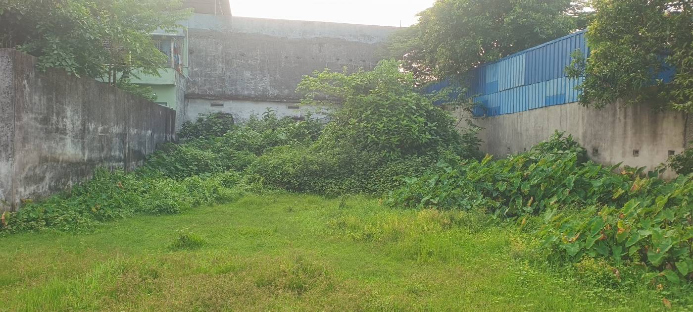 2.00 kattha Residential plot for sale in Subhas Nagar