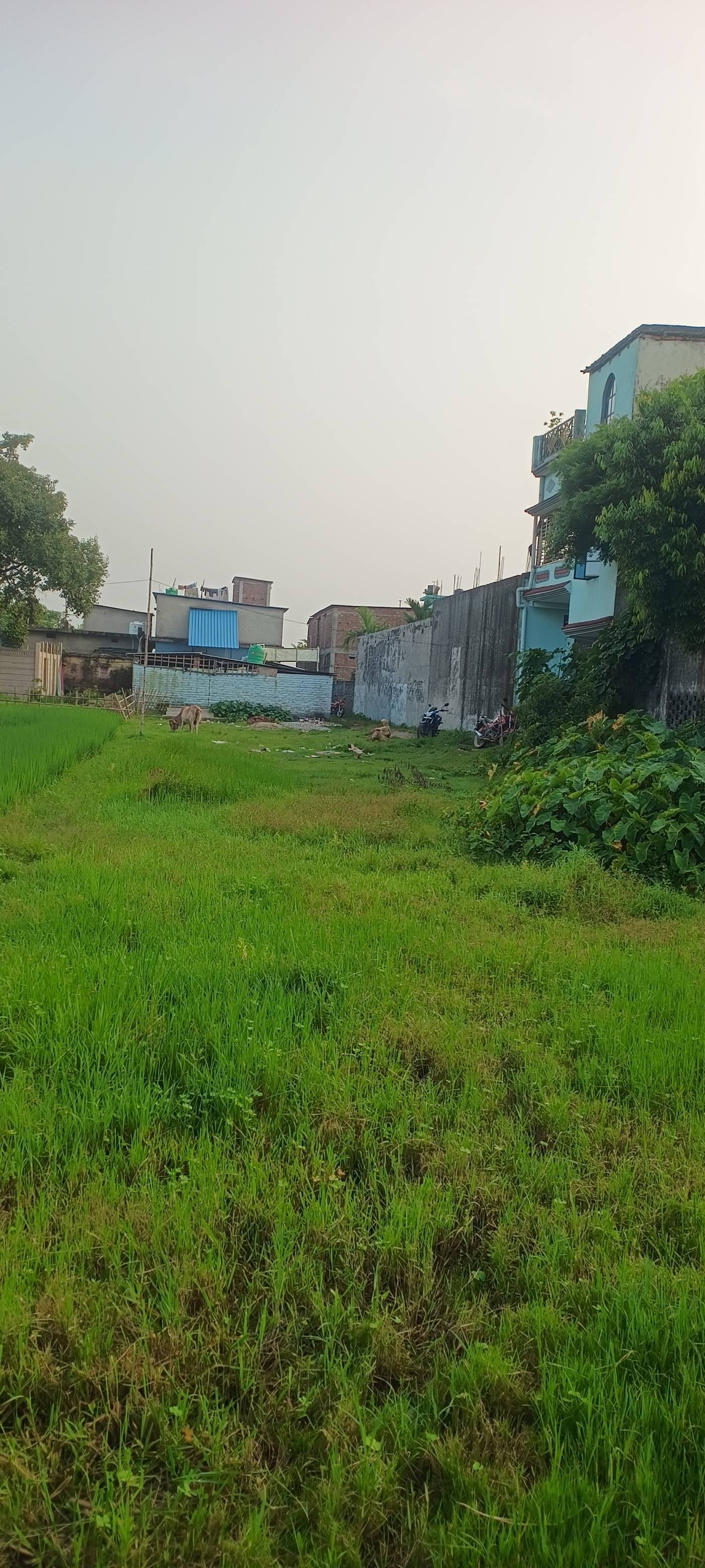 2.00 kattha Residential plot for sale in Subhas Nagar, Kishanganj, Bihar - Image 2