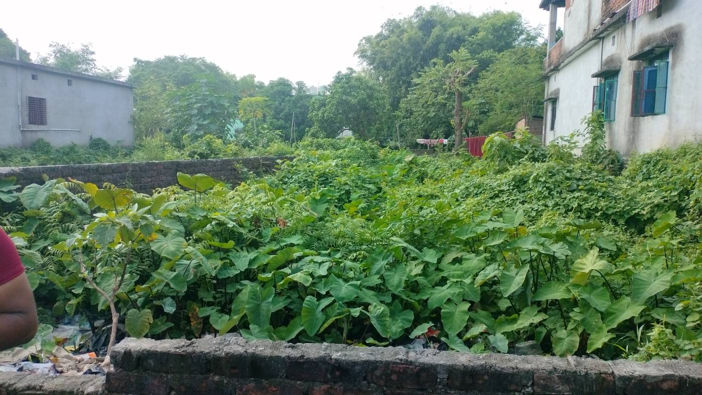 1.50 kattha Residential plot for sale in V2 Mall