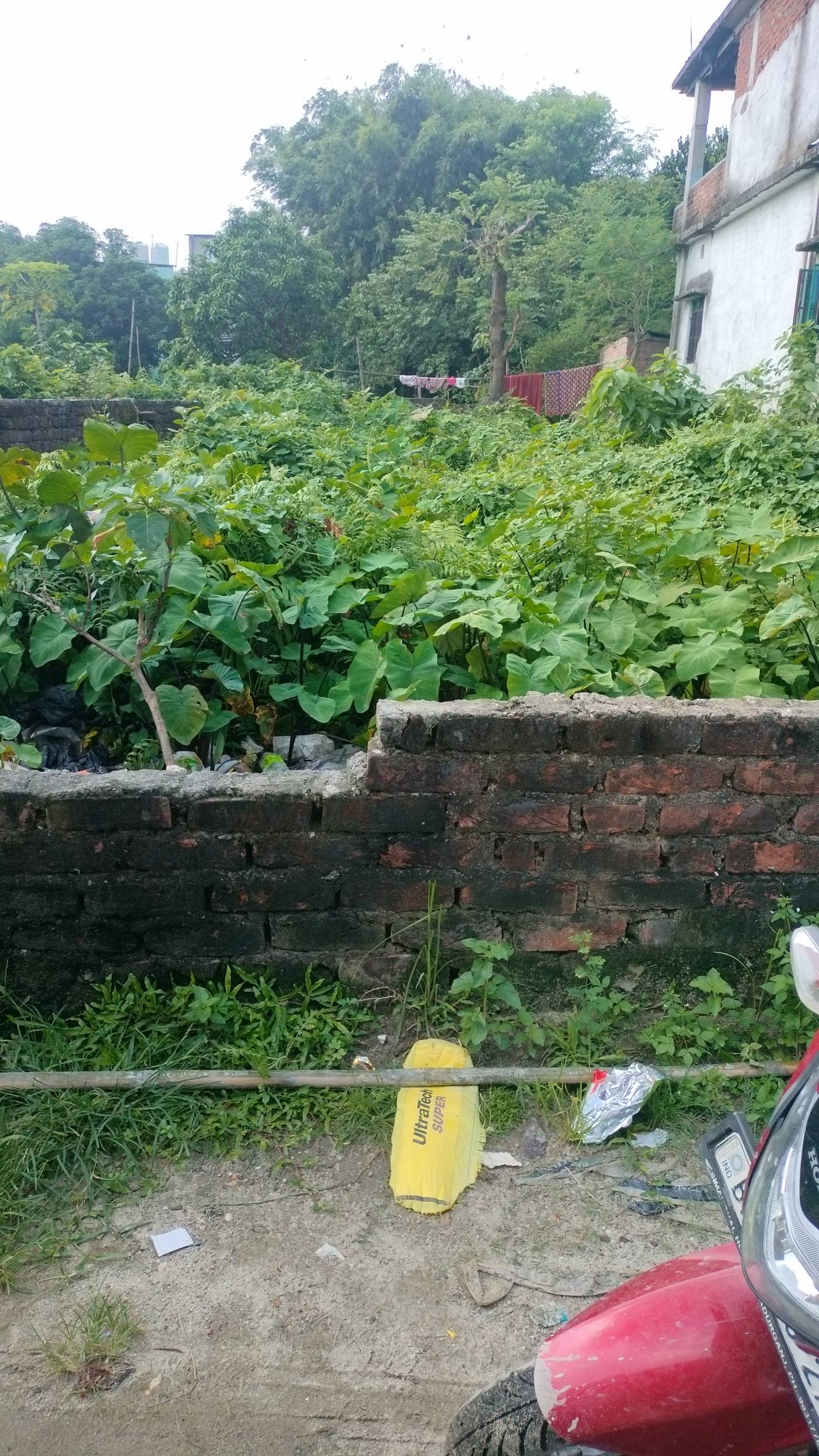 1.50 kattha Residential plot for sale in V2 Mall, Kishanganj, Bihar - Image 2