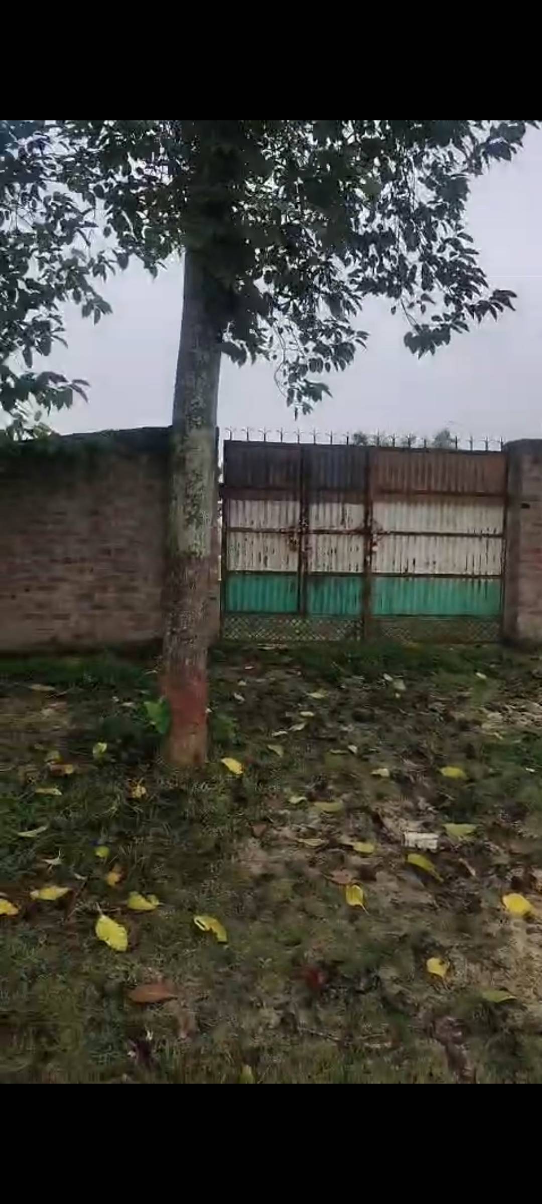 8.00 kattha Commercial plot for sale in Pipla Chowk
