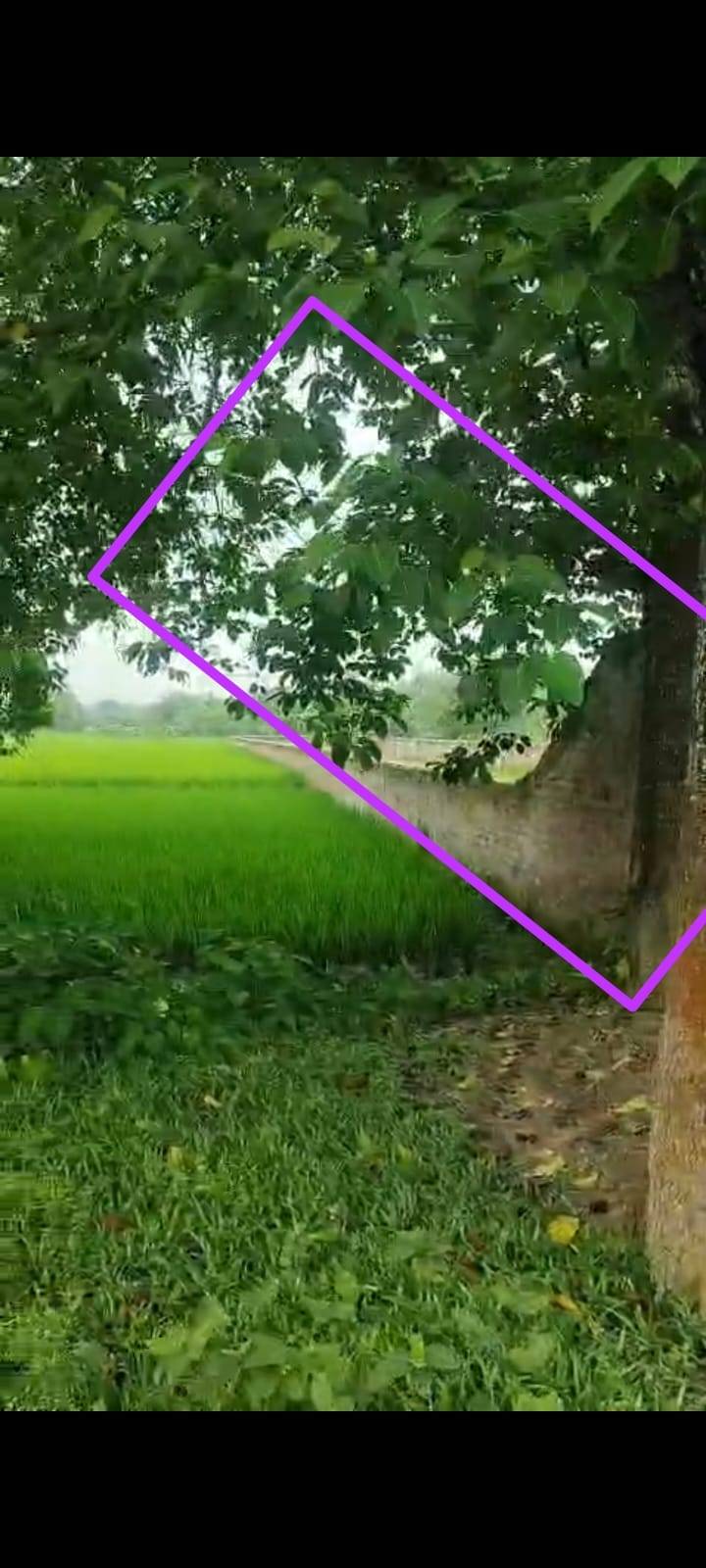 8.00 kattha Commercial plot for sale in Pipla Chowk, Kishanganj, Bihar - Image 2
