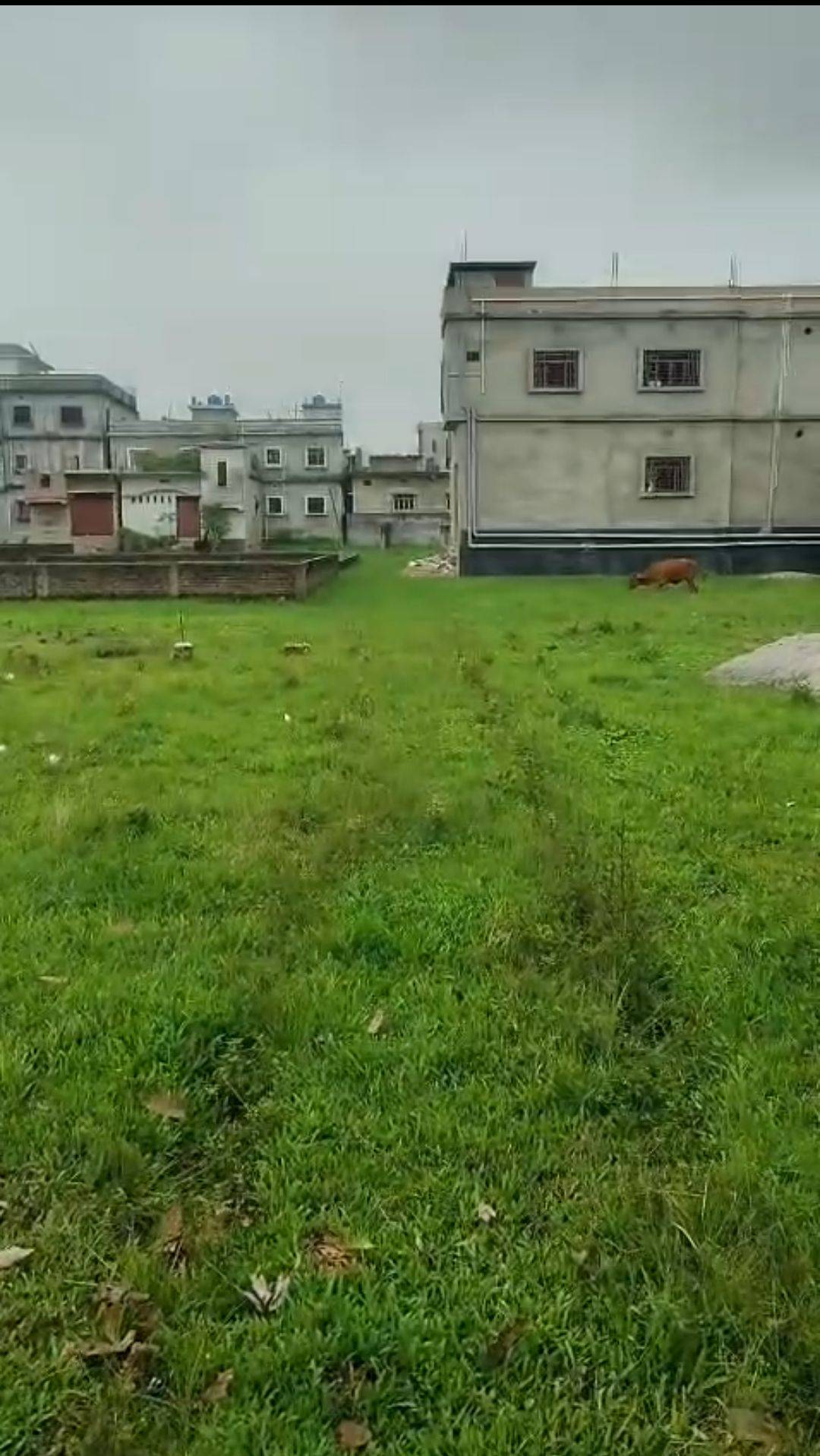 1.50 kattha Residential plot for sale in FCI Goddown