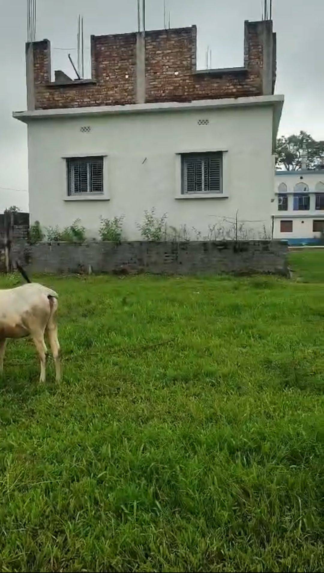 1.50 kattha Residential plot for sale in FCI Goddown, Kishanganj, Bihar - Image 2