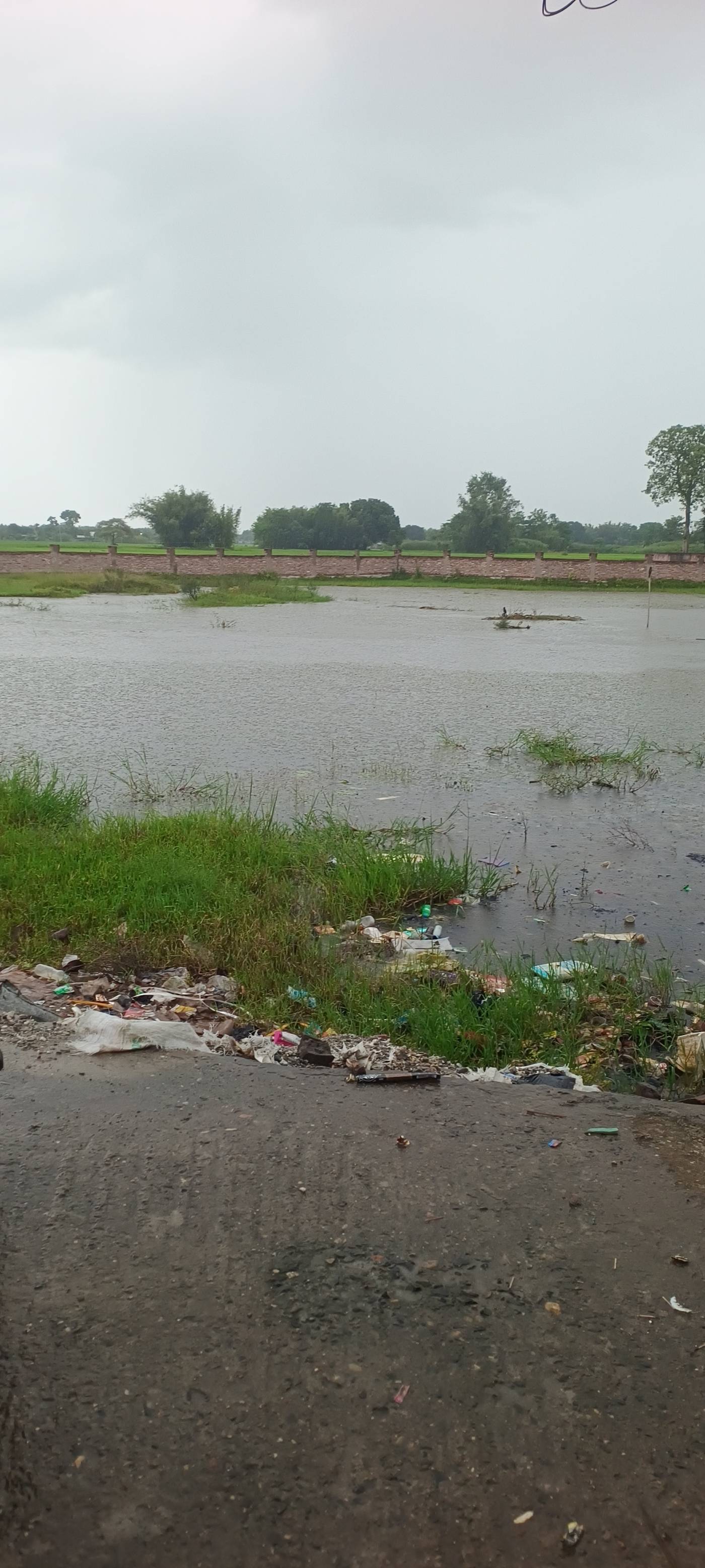 5.00 kattha Residential plot for sale in Registry Office, Kishanganj, Bihar - Image 2