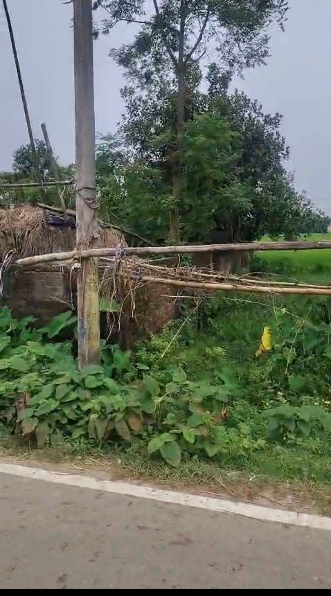 2.00 kattha Residential plot for sale in Fulwari